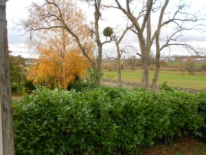 Le ciel se couvre k2iwpc - Eugenol