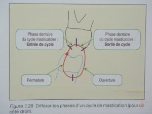 Legall lauret11 ovfcq9 - Eugenol