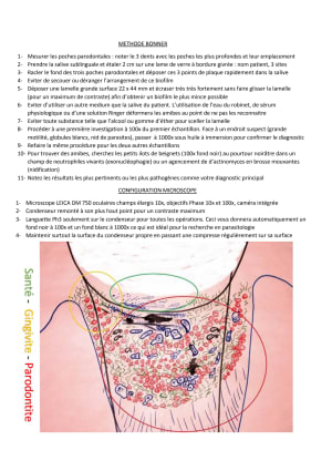 Methode bonner xlcxvl - Eugenol