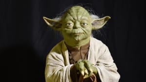 Maitre yoda qs9ymt - Eugenol
