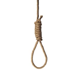 Noeud de pendu tlxuk6 - Eugenol