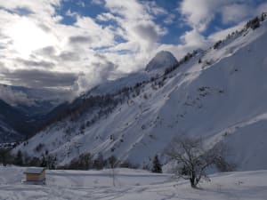 P1040060 lyh3u7 - Eugenol