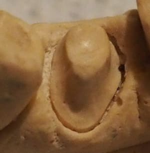 P113032a1 j3dxnm - Eugenol