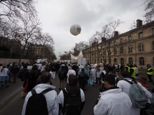 P3150620 ercor8 - Eugenol