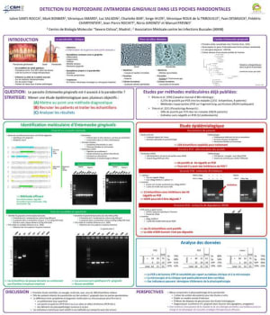 Pcr julien fpqyy1 - Eugenol