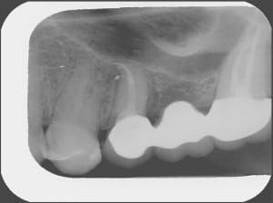 Pria6 qdhtzp - Eugenol