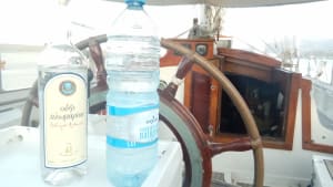 P 20180717 203100 s6yiwp - Eugenol