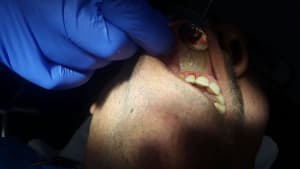 Photo 2 p6wneh - Eugenol