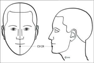 Point cv24 qwuxvv - Eugenol