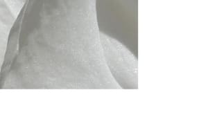 Sans titre c55syp - Eugenol
