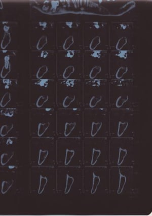 Scan10036 i9313g - Eugenol