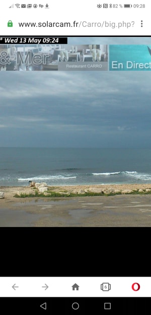 Screenshot 20200513 092807 com.opera - Eugenol