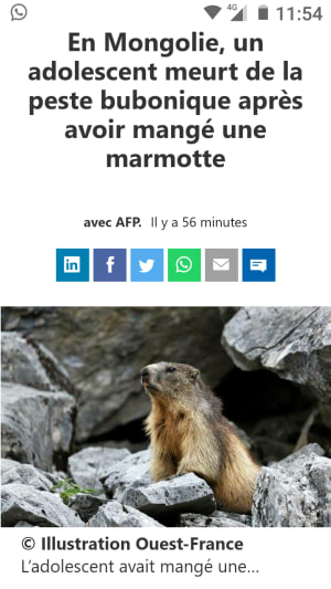 Screenshot 20200715 115412 id42ak - Eugenol