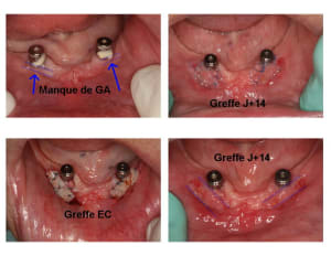 Untitled 333 balmbg - Eugenol