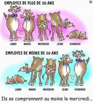  est bien chs41i - Eugenol