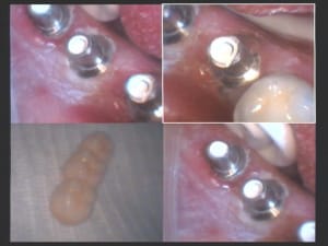  offrande qk9leq - Eugenol