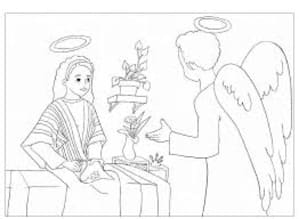 Annonce dr9wdg - Eugenol