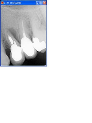 Avis0 ygfj64 - Eugenol