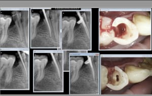 B7lj33ef6uayyu5ws6kntl9s62na - Eugenol