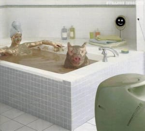 Bain cochon x6jodt - Eugenol