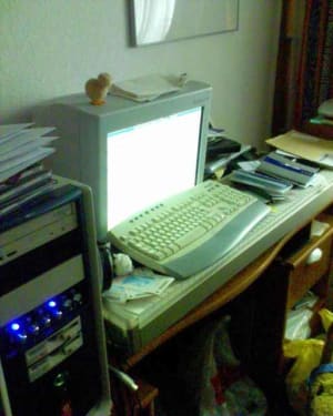 Bureau xpdrgy - Eugenol