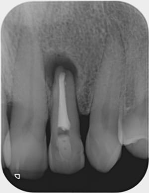 C fu7s70 - Eugenol