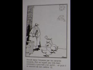 Canard 640x480 rnqumc - Eugenol