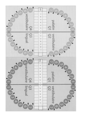 Charting paro azrznr - Eugenol