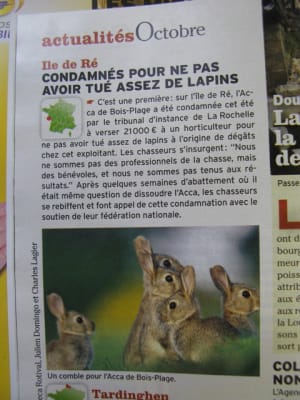Chasse c4r2n4 - Eugenol