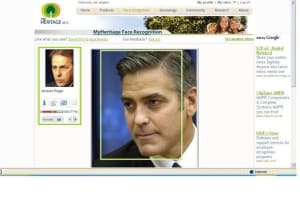 Clooney rogge putmsj - Eugenol