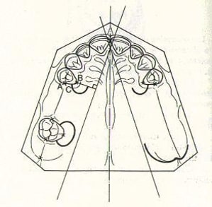 Decolletage ynqwyz - Eugenol