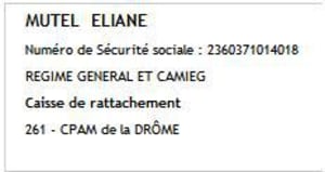 Eliane ciy1vq - Eugenol