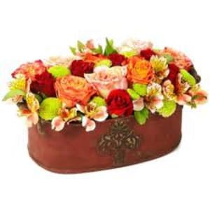 Elles auraient bien ete sur ta table belette u2k7o1 - Eugenol