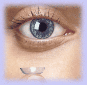 Eye xzeybu - Eugenol