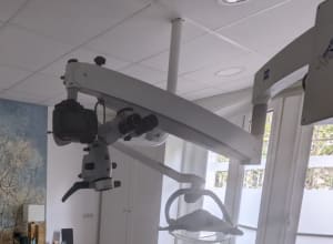 Ezmarqyp2zwypkpziuu4z9ltnak1 - Eugenol