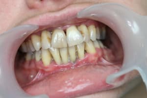 Face qj0hue - Eugenol