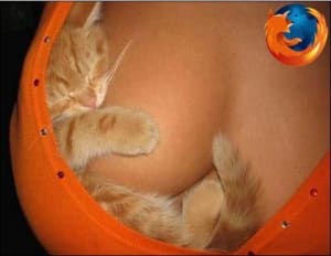 Firefox est mieux vgylfi - Eugenol
