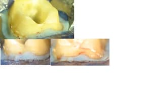 Francisco 09 2006 jxfu52 - Eugenol