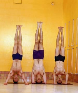 Glowka lx9he4 - Eugenol