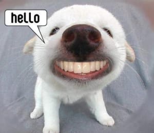 Hello image rjit8y - Eugenol