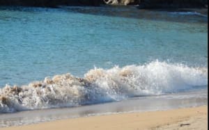 Hoku bebe zfedzs - Eugenol