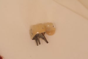 Ic 003 e3qxeq - Eugenol