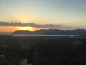 Image xft8qo - Eugenol