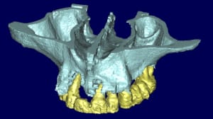 Jacques 3d2 ubuqj0 - Eugenol