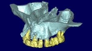 Jacques 3d3 dclx17 - Eugenol