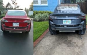 Joq0vrzlwwp4apv1p9jmxrk0n8xk - Eugenol