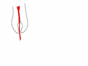 Lamerde  mssrdg - Eugenol