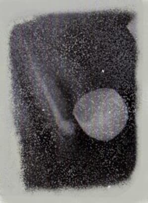Lastscan canine yb2uye - Eugenol
