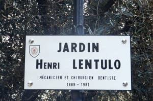 Lentulo nejkhi - Eugenol