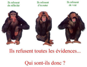 Les3singesdelacsnd citvig - Eugenol